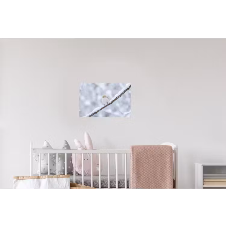 Vogeltje - Sneeuw - Tak - Winter - Zacht Muursticker klein -kinderkamer