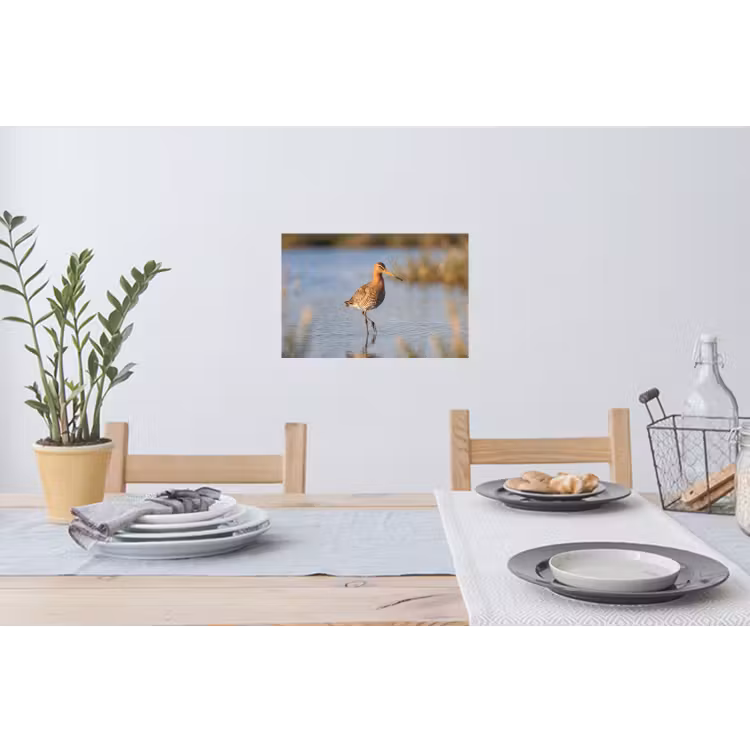 Vogel - Steltloper - Water - Natuur Muursticker klein -eettafel