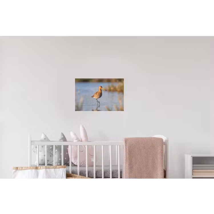 Vogel - Steltloper - Water - Natuur Muursticker klein -kinderkamer