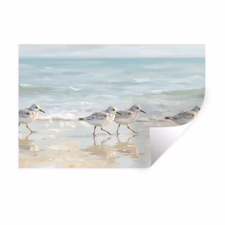 Vogels - Strand - Zee Muursticker klein -3d