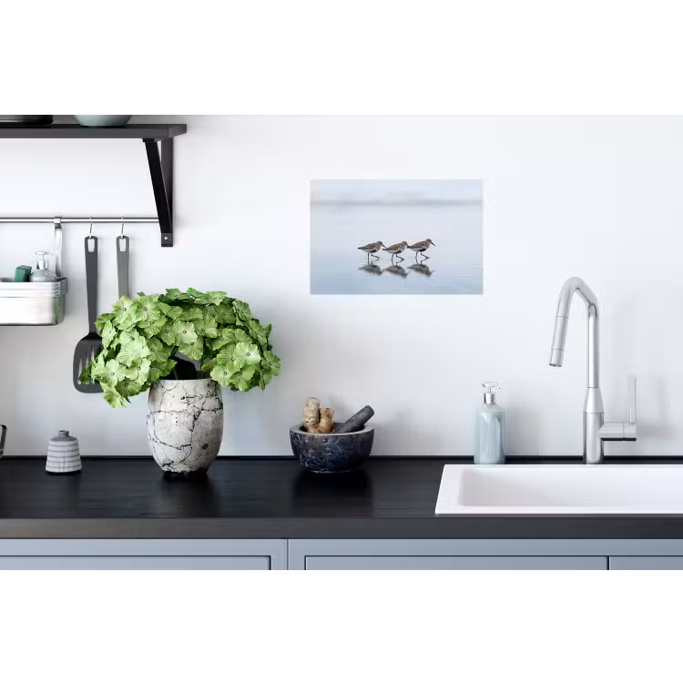 Vogels - Water - Grijs Muursticker klein -keuken