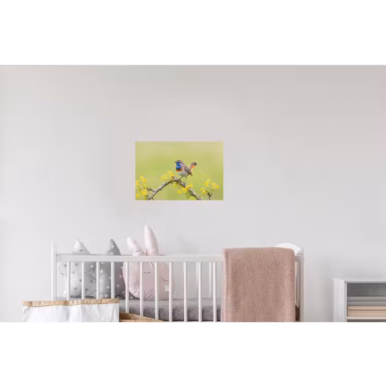 Vogel - Tak - Natuur - Kleurrijk Muursticker klein -kinderkamer