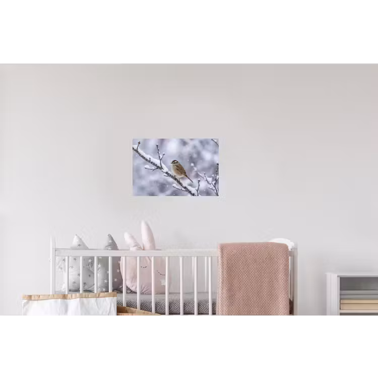 Vogel - Tak - Sneeuw - Winter Muursticker klein -kinderkamer