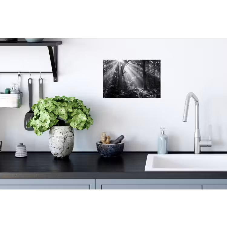 Bos - Lichtstralen - Natuur - Zwart-wit Muursticker klein -keuken