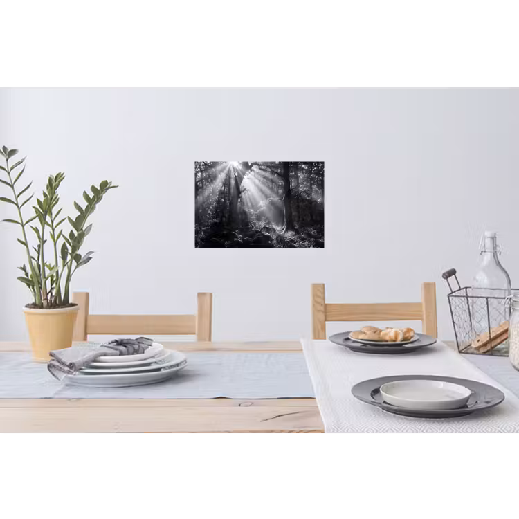 Bos - Lichtstralen - Natuur - Zwart-wit Muursticker klein -eettafel
