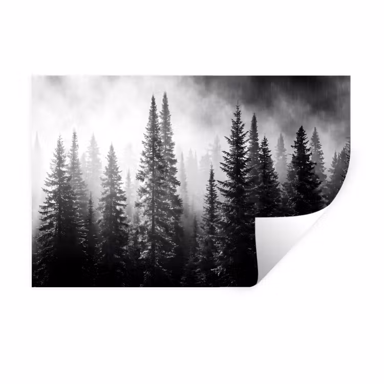 Bos - Mist - Winter - Monochroom - Natuur Muursticker klein -3d