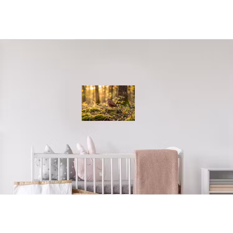 Houtsnip - Bos - Bladeren - Herfst - Gecamoufleerd Muursticker klein -kinderkamer
