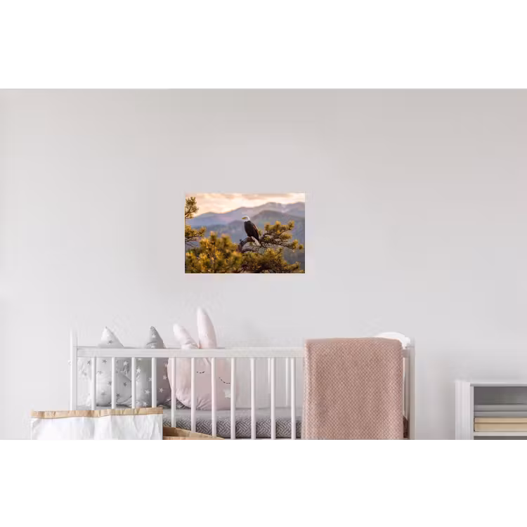 Zeearend - Boom - Bergen - Groen Muursticker klein -kinderkamer
