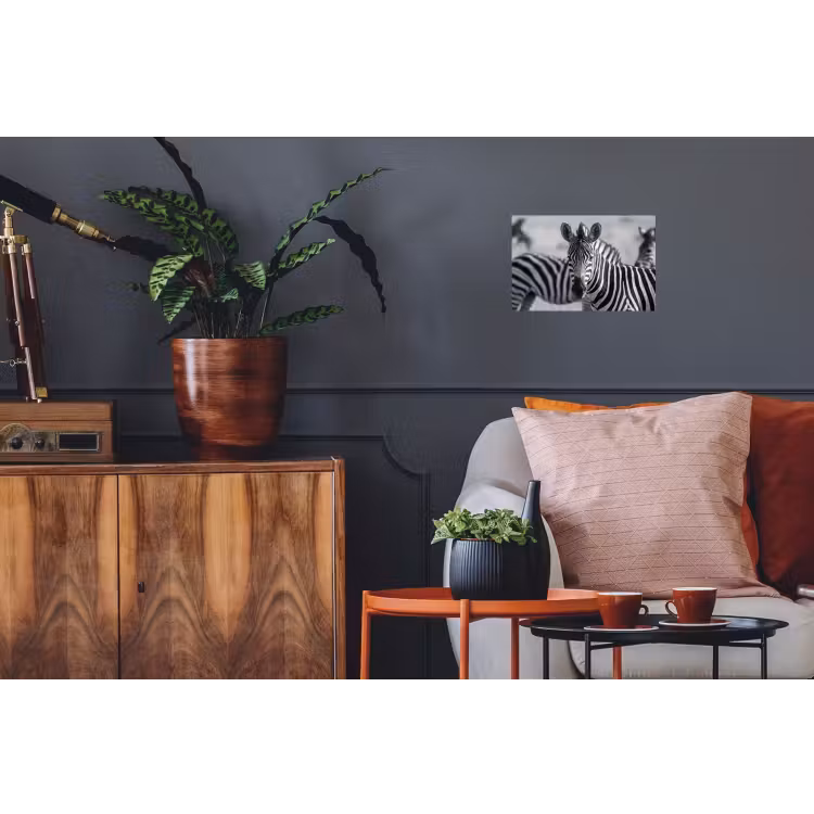 Zebra's - Zwart - Wit Muursticker klein -kamerbank