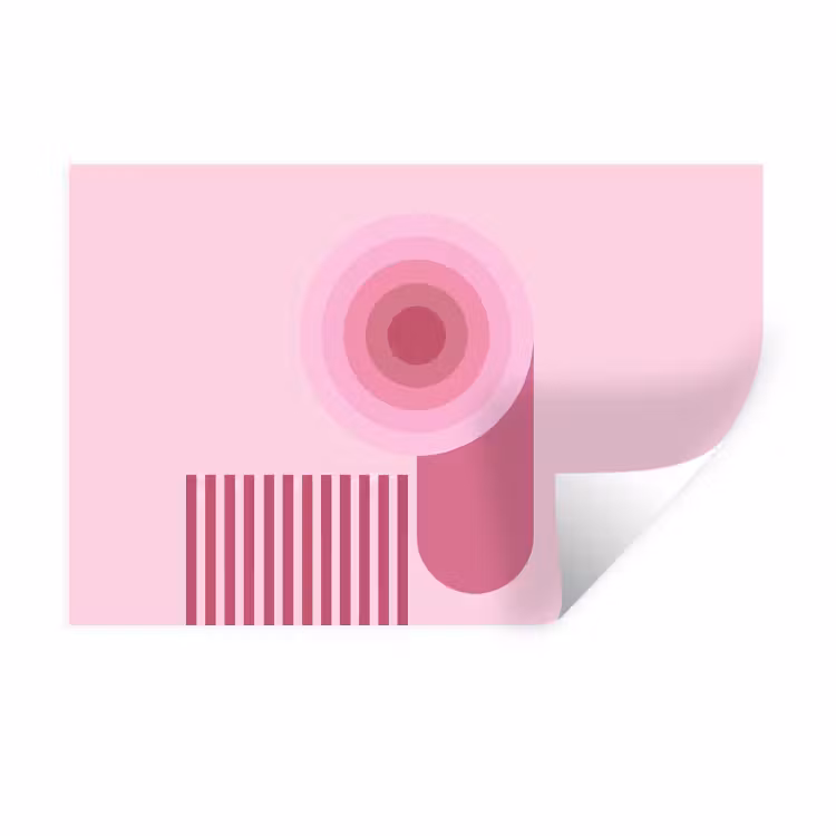Abstract - Cirkels - Strepen - Modern - Roze Muursticker klein -3d