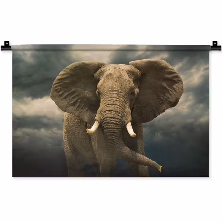 Afrikaanse olifant tegen de donkere wolken Wandkleed katoen klein -zz3d