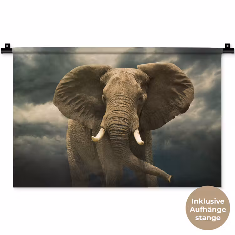 Afrikaanse olifant tegen de donkere wolken Wandkleed katoen klein -t3d_DE