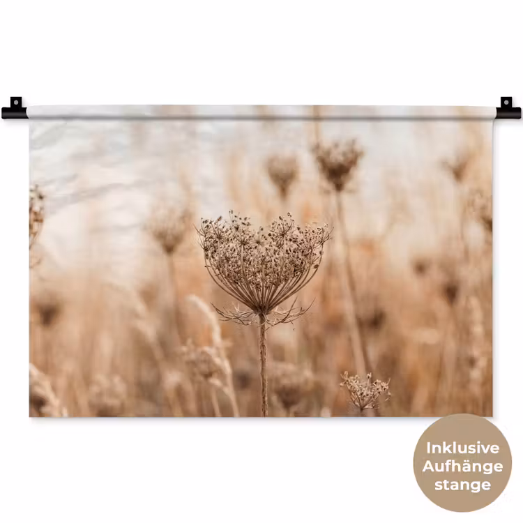 Schermbloem - Droogbloem - Winter - Beige - Minimalistisch Wandkleed katoen klein -t3d_DE