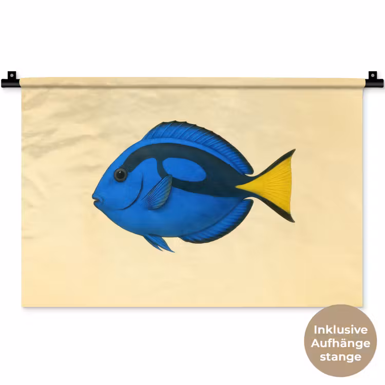 Blauw - Dory - Vis - Staartvin Wandkleed katoen klein -t3d_DE