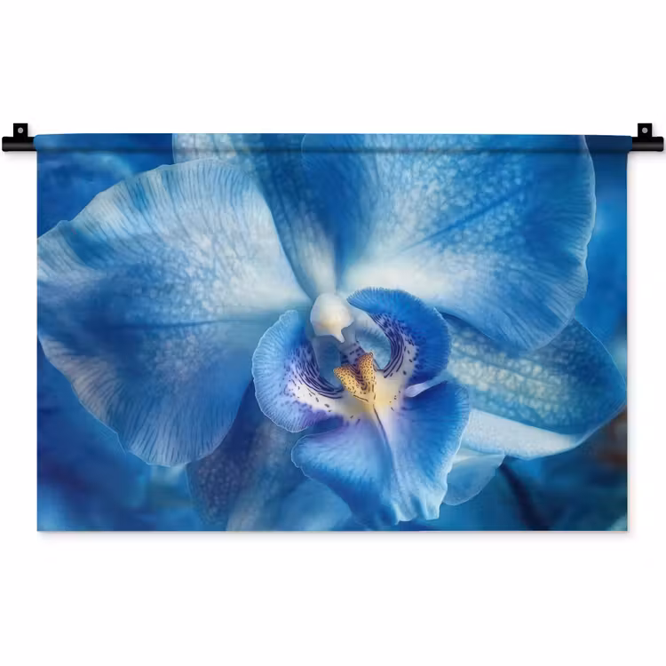 Blauw - Orchidee - Elegeant Wandkleed katoen klein -zz3d