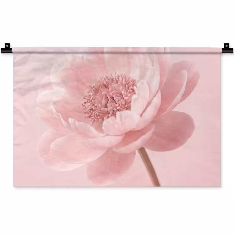 Bloem - Pioenroos - Roze Wandkleed katoen klein -zz3d
