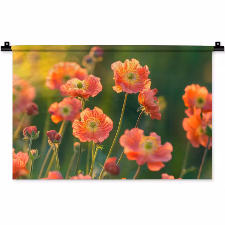 Bloemenveld - Zonnestralen - Oranje Wandkleed katoen klein -zz3d