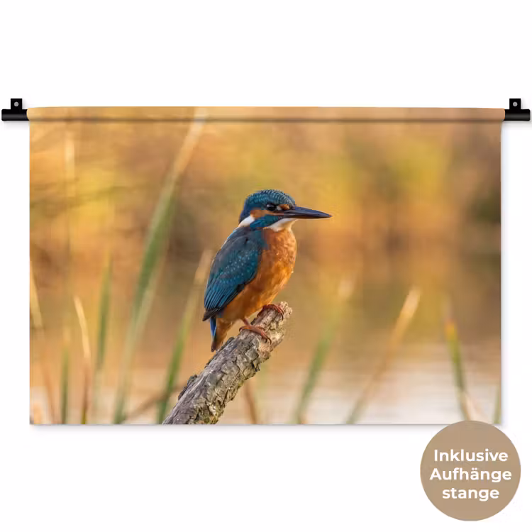 IJsvogel - Tak - Water - Kleurrijk - Levendig Wandkleed katoen klein -t3d_DE