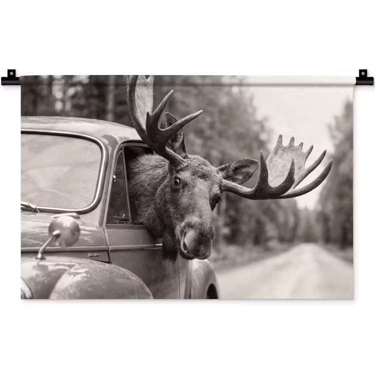 Eland - Auto - Gewei - Zwart - Wit Wandkleed katoen klein -zz3d