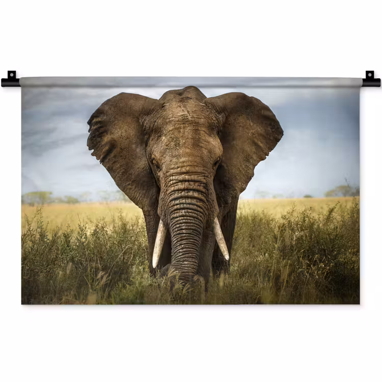 Olifant - Natuur - Gras - Dieren - Landschap Wandkleed katoen klein -zz3d
