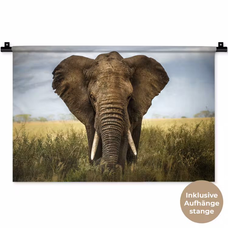 Olifant - Natuur - Gras - Dieren - Landschap Wandkleed katoen klein -t3d_DE
