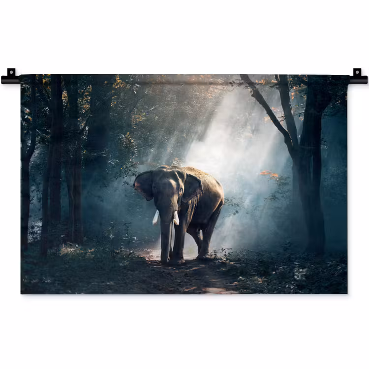 Olifant - Dieren - Licht - Bos - Natuur - Wilde dieren Wandkleed katoen klein -zz3d