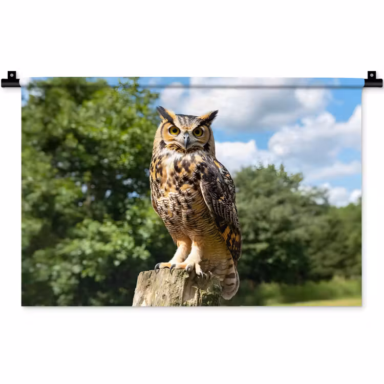 Uil - Boomstronk - Bos - Lucht Wandkleed katoen klein -zz3d