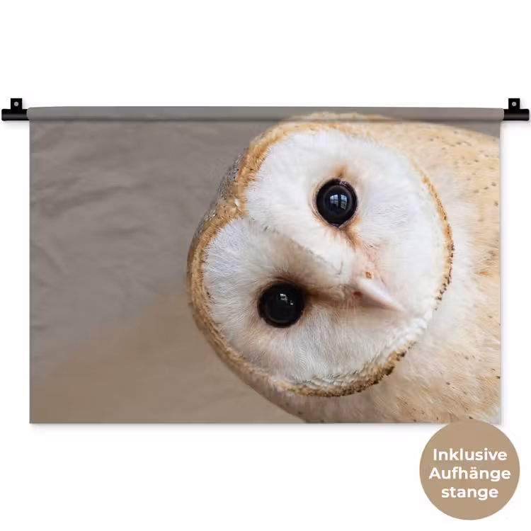 Uil - Bruin - Wit Wandkleed katoen klein -t3d_DE