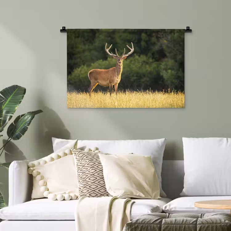 Hert - Gewei - Gras - Natuur - Dieren - Groen Wandkleed katoen klein -sfeer7