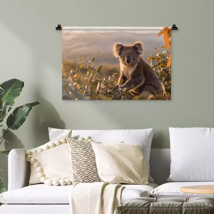 Koala - Bladeren - Ochtendlicht Wandkleed katoen klein -sfeer7
