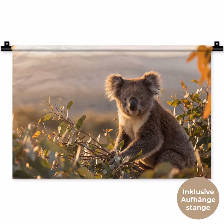 Koala - Bladeren - Ochtendlicht Wandkleed katoen klein -t3d_DE