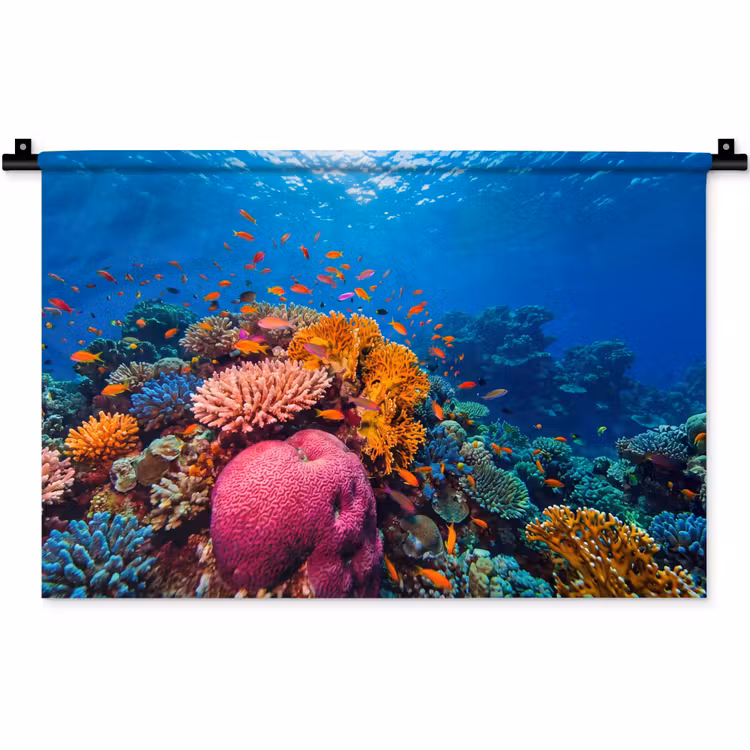 Koraal - Vissen - Oceaan - Natuur - Kleurrijk Wandkleed katoen klein -zz3d