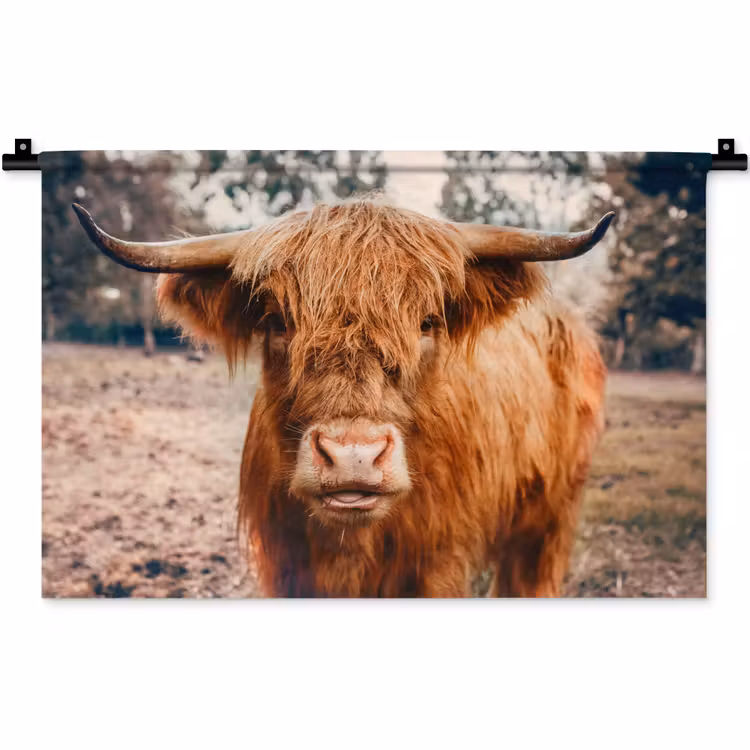 Koe- Schotse hooglander - Hoorns - Bruin - Landschap Wandkleed katoen klein -zz3d