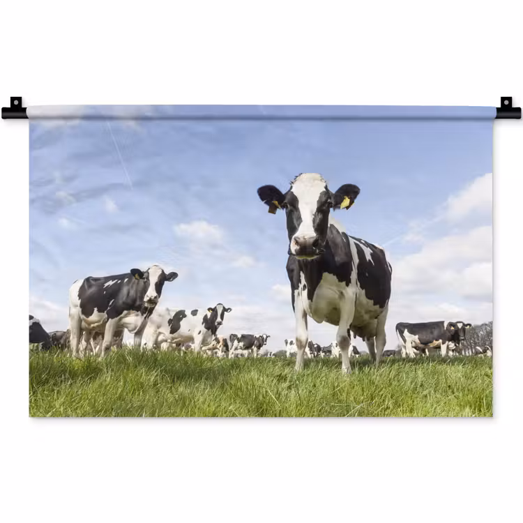 Koeien - Gras - Dieren - Zon - Boerderij Wandkleed katoen klein -zz3d