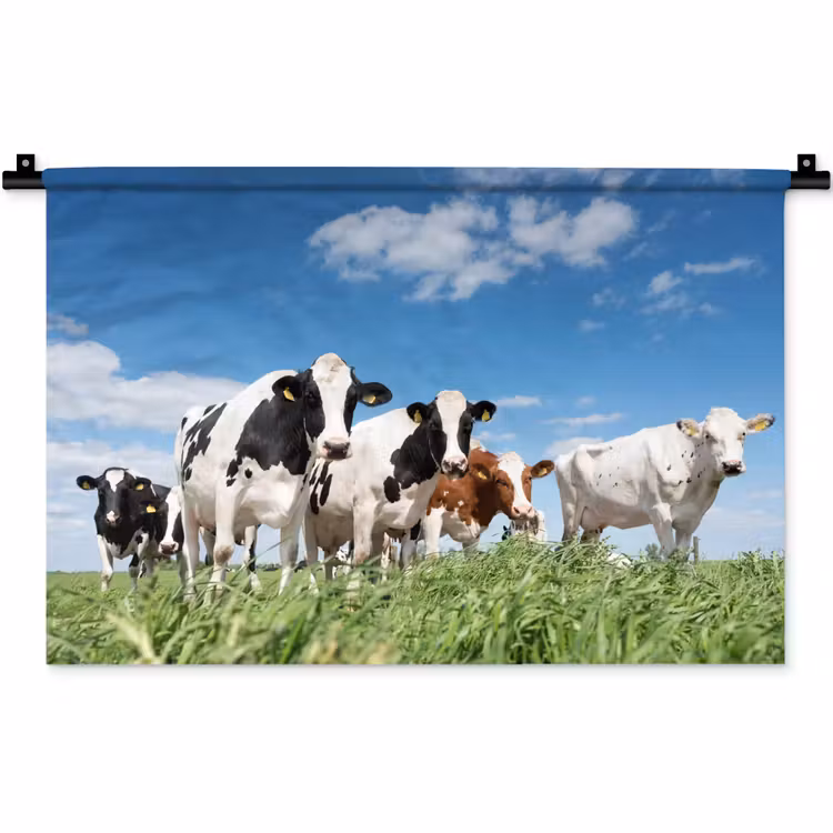Koeien - Platteland - Weiland - Natuur - Dieren Wandkleed katoen klein -zz3d