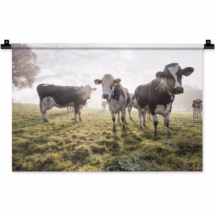 Koeien - Licht - Gras - Dieren Wandkleed katoen klein -zz3d