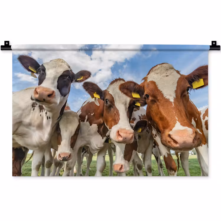 Koeien - Dieren - Weiland - Natuur Wandkleed katoen klein -zz3d