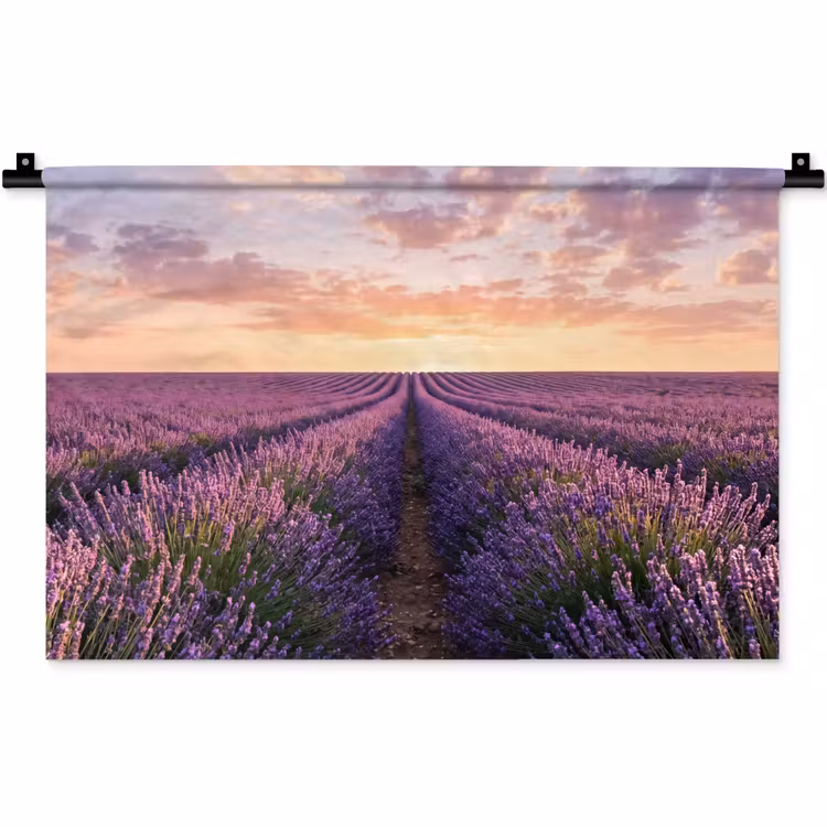 Landschap - Lavendelveld - Paars Wandkleed katoen klein -zz3d