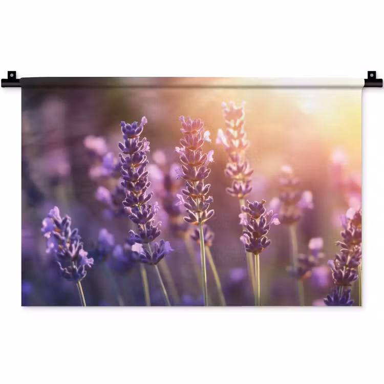 Lavendelbloemen - Paars - Zonlicht Wandkleed katoen klein -zz3d