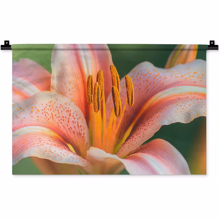 Lelie - Close up - Lichtroze Wandkleed katoen klein -zz3d