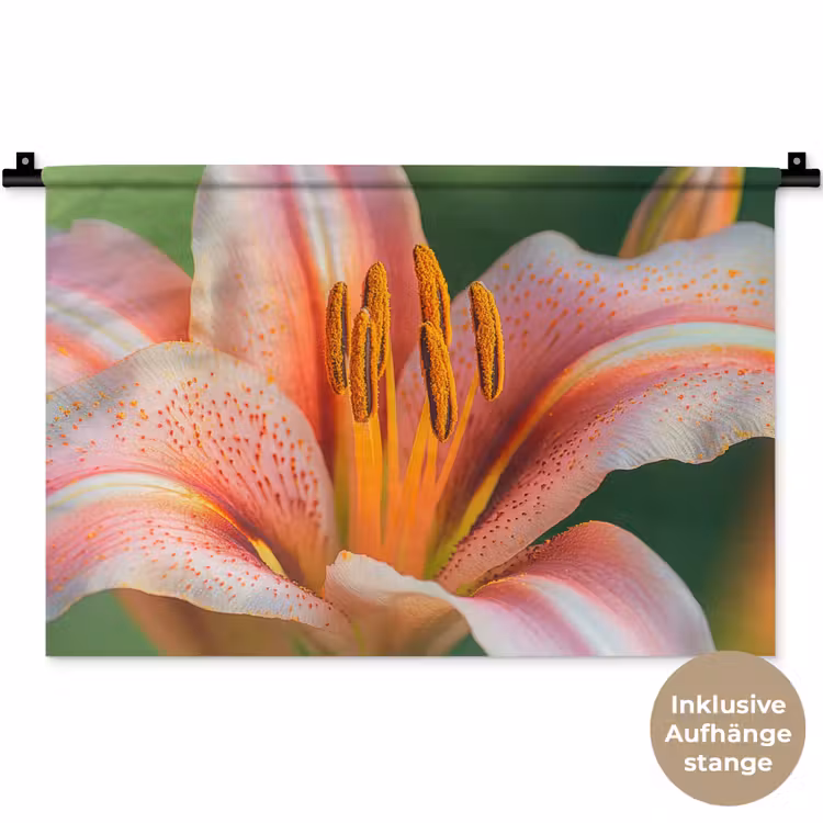 Lelie - Close up - Lichtroze Wandkleed katoen klein -t3d_DE