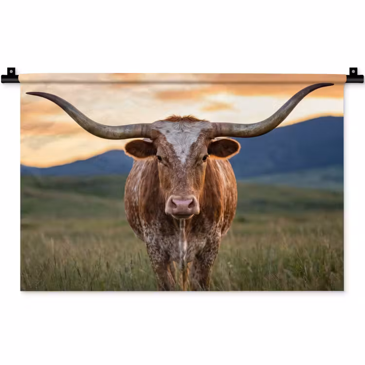 Longhorn - Landschap - Zonsondergang Wandkleed katoen klein -zz3d