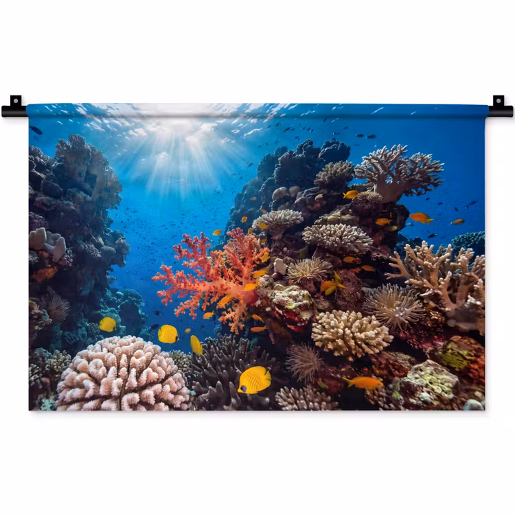Zee - Koraalrif - Natuur - Levendig - Blauw Wandkleed katoen klein -zz3d