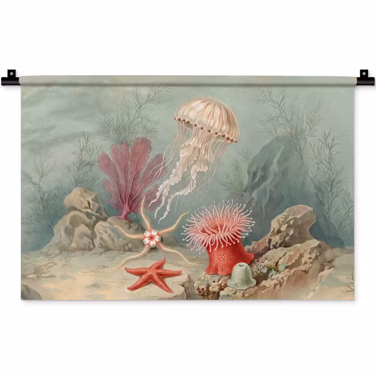 Zeeleven - Kwal - Onderwater - Illustratie - Beige Wandkleed katoen klein -zz3d