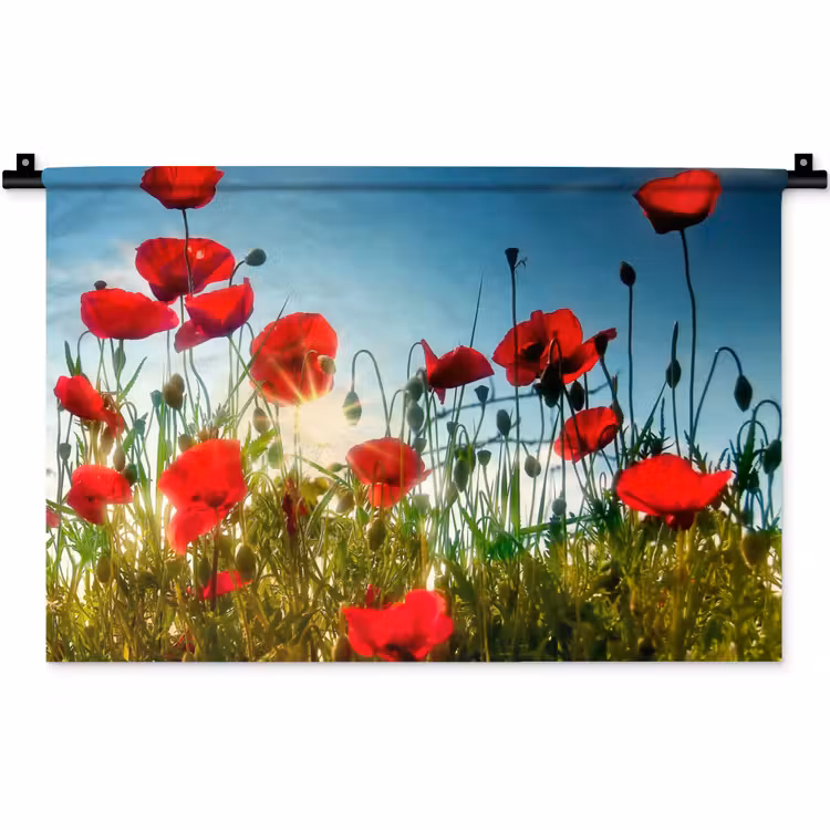 Klaprozen - Toscane - Zon - Rood - Blauw Wandkleed katoen klein -zz3d