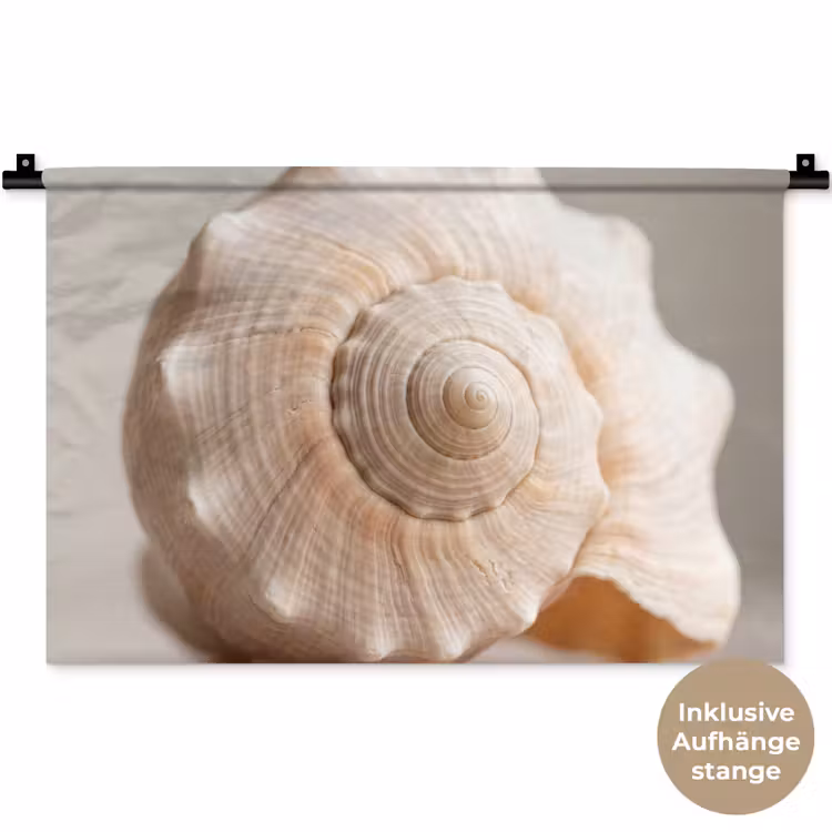 Schelp - Detail - Beige Wandkleed katoen klein -t3d_DE