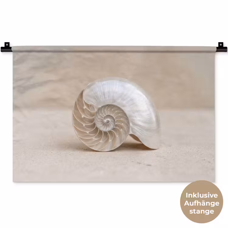Schelp - Spiraal - Beige Wandkleed katoen klein -t3d_DE