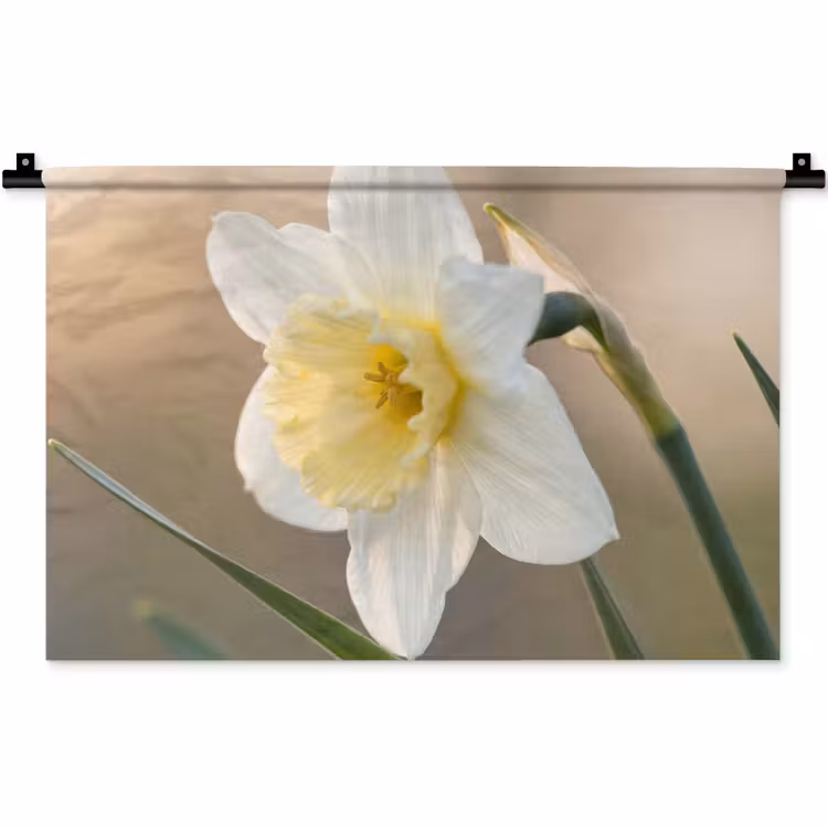 Narcis - Bloem - Minimalistisch Wandkleed katoen klein -zz3d