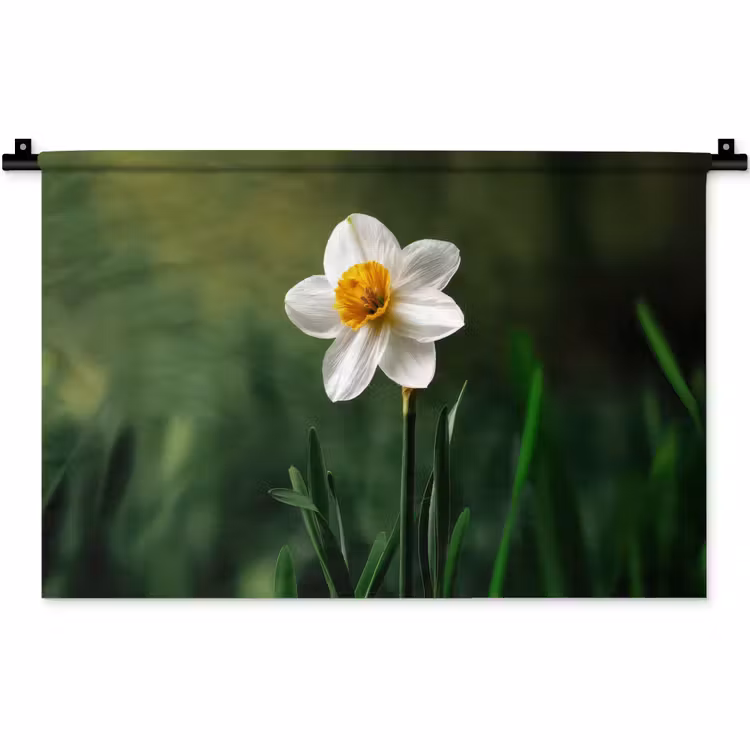 Narcis - Bloem - Wit - Grassprieten Wandkleed katoen klein -zz3d