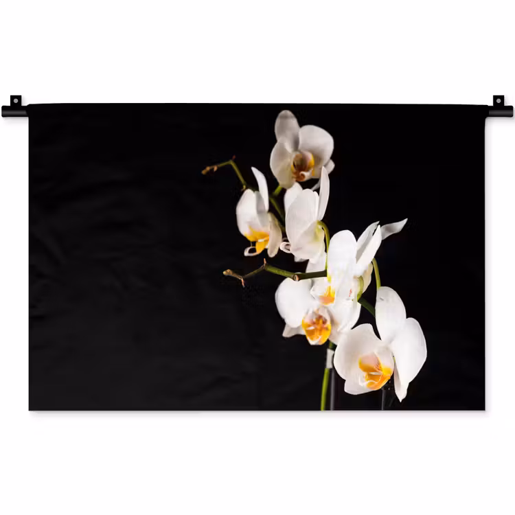 Orchidee - Bloemen - Planten - Botanisch Wandkleed katoen klein -zz3d
